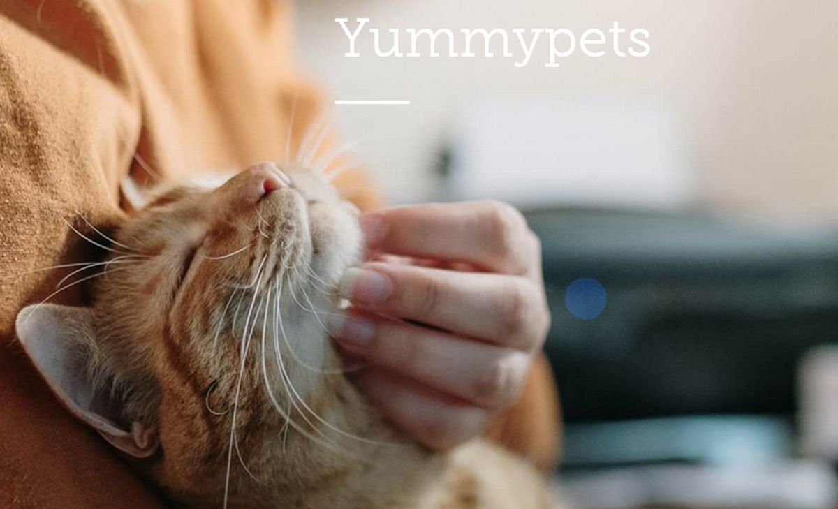 Yummypets