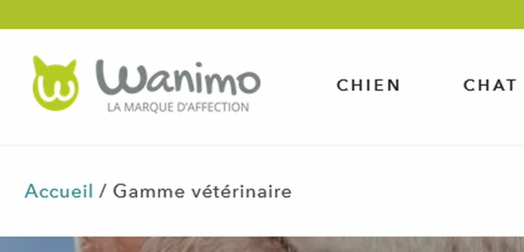 Wanimo : votre guide pour choisir des produits animaux de qualité